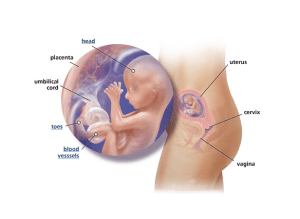 Screen Shot 2013-02-07 at 1.28.02 PM