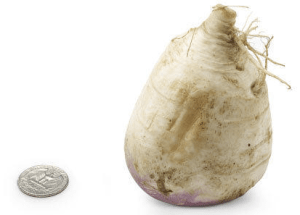 Screen Shot 2013-02-14 at 12.40.40 PM