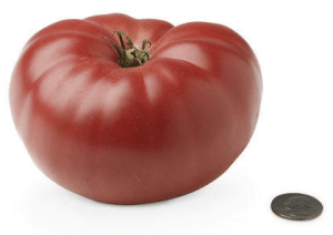 Screen Shot 2013-02-28 at 4.01.49 PM