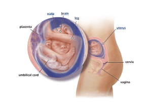 Screen Shot 2013-02-28 at 4.02.04 PM