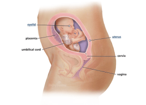 Screen Shot 2013-03-13 at 3.34.08 PM