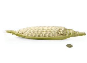 Screen Shot 2013-04-02 at 4.14.37 PM