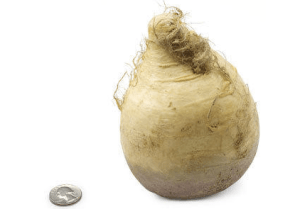 Screen Shot 2013-04-11 at 1.28.08 PM