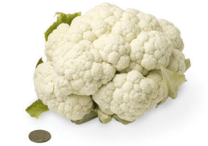 Screen Shot 2013-04-25 at 11.57.32 AM