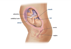 Screen Shot 2013-04-25 at 11.57.57 AM