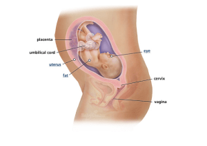 Screen Shot 2013-05-02 at 10.30.39 AM