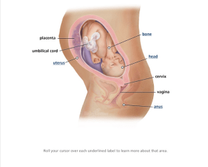 Screen Shot 2013-05-09 at 11.14.50 AM