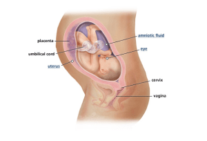 Screen Shot 2013-05-17 at 11.52.14 AM