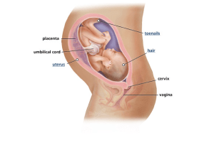 Screen Shot 2013-05-30 at 12.02.46 PM