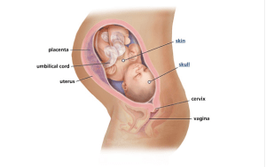 Screen Shot 2013-06-12 at 6.45.03 PM