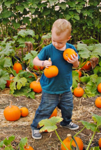 Screen Shot 2016-02-09 at 2.19.57 PM