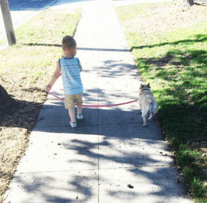 Screen Shot 2016-02-09 at 2.20.54 PM